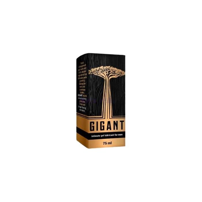 Gigant - в Понферраде