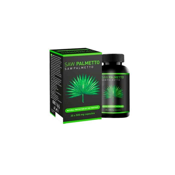 Saw Palmetto - 