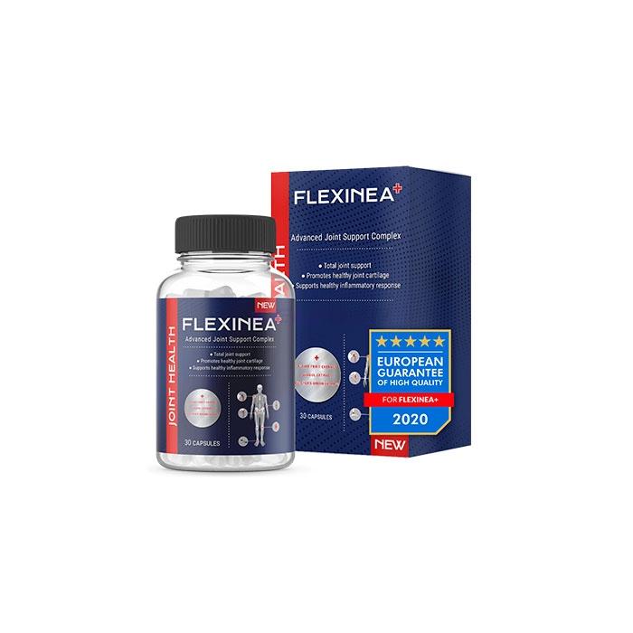 Flexinea - Katovicuose