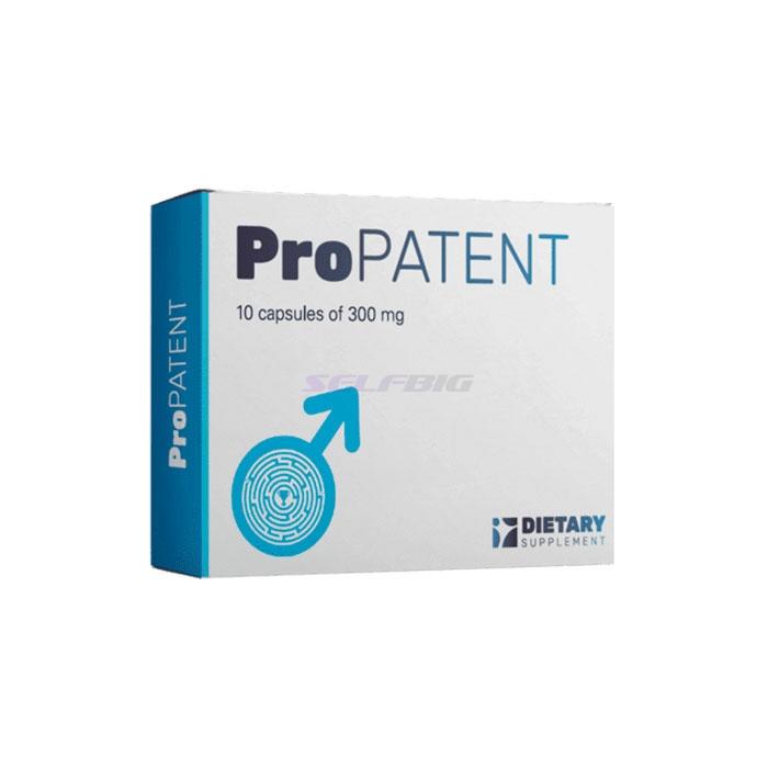 Propatent - u Kielu