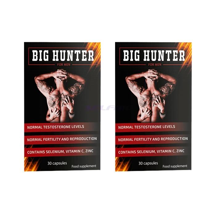 Big Hunter - във Видин