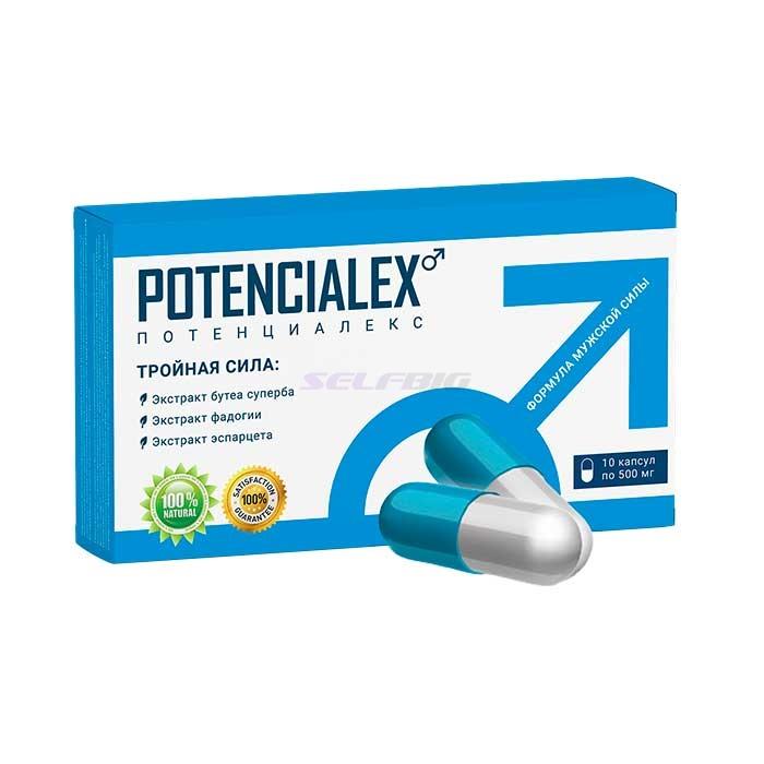 POTENCIALEX - в Виле-Нове-ди-Гой