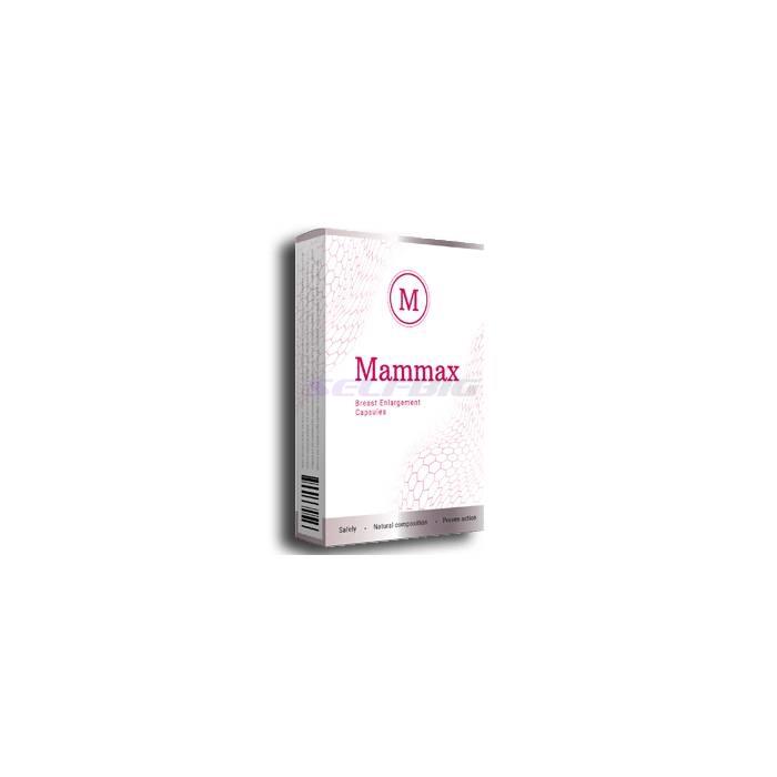 Mammax - в Кастелдефелс