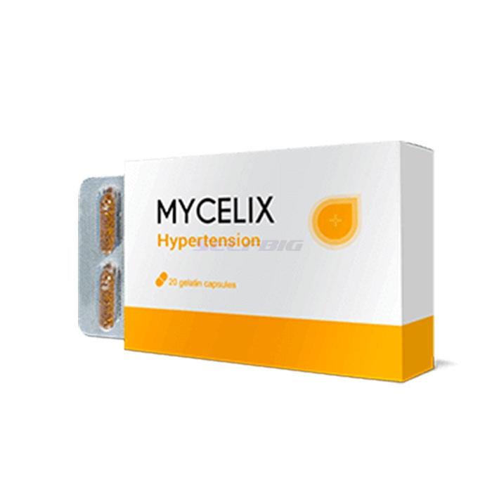 Mycelix - în Brescia